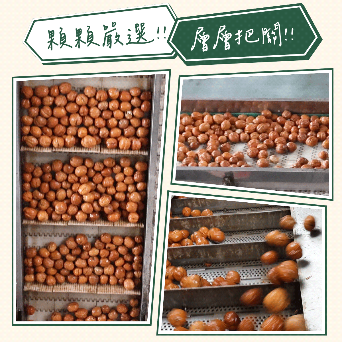 可可嚴選，層層保管，新疆紙皮烤核桃